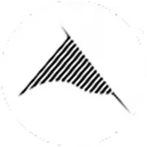 cropped ausea logo.webp